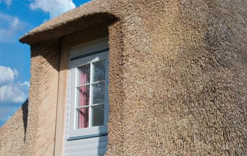 Anaheilt thatch roof disadvantages