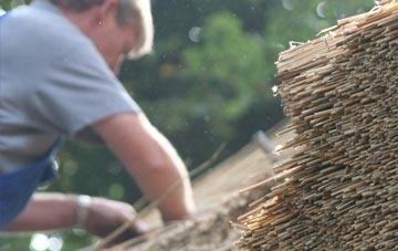 professional Anaheilt thatchers