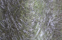 Anaheilt fibreglass roof work