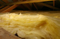 Anaheilt pitch roof insulation